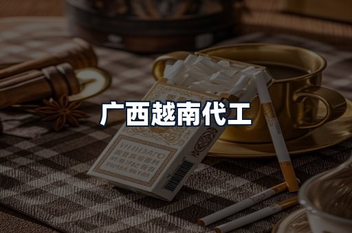 广西越南代工
